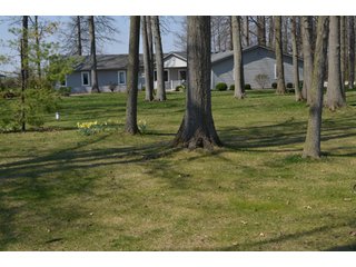 Property photo 9 - East Allen County Real Estate Auction